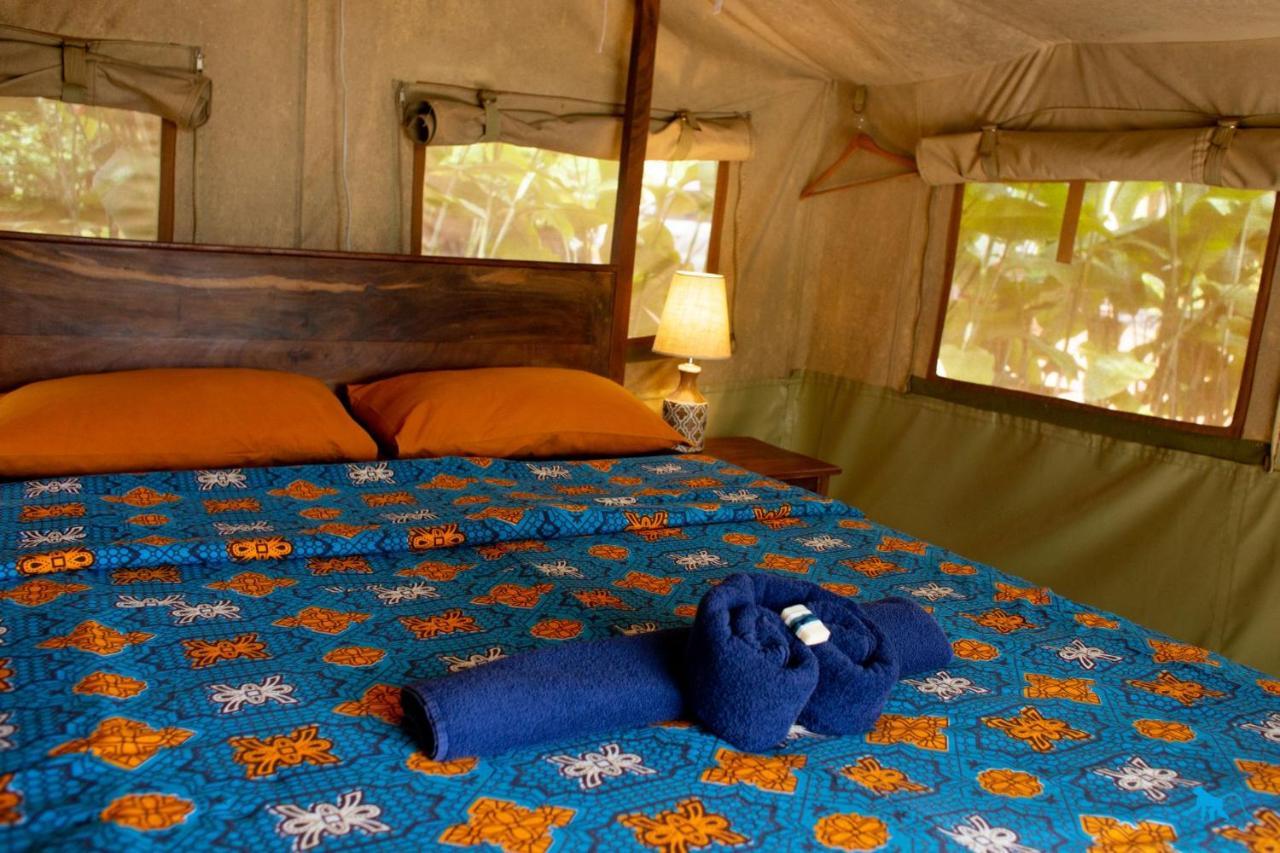 Bluemonkey Guesthouse Entebbe Zewnętrze zdjęcie