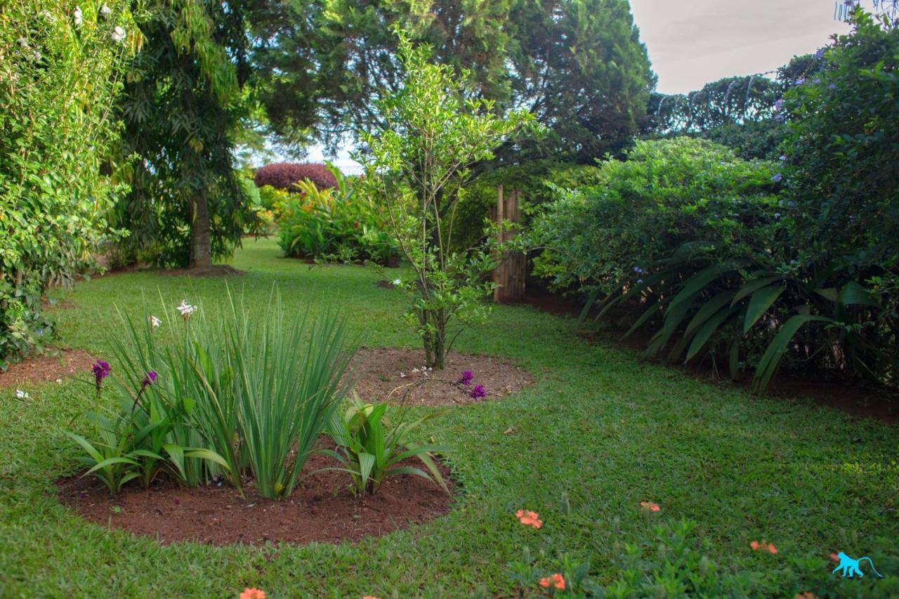 Bluemonkey Guesthouse Entebbe Zewnętrze zdjęcie