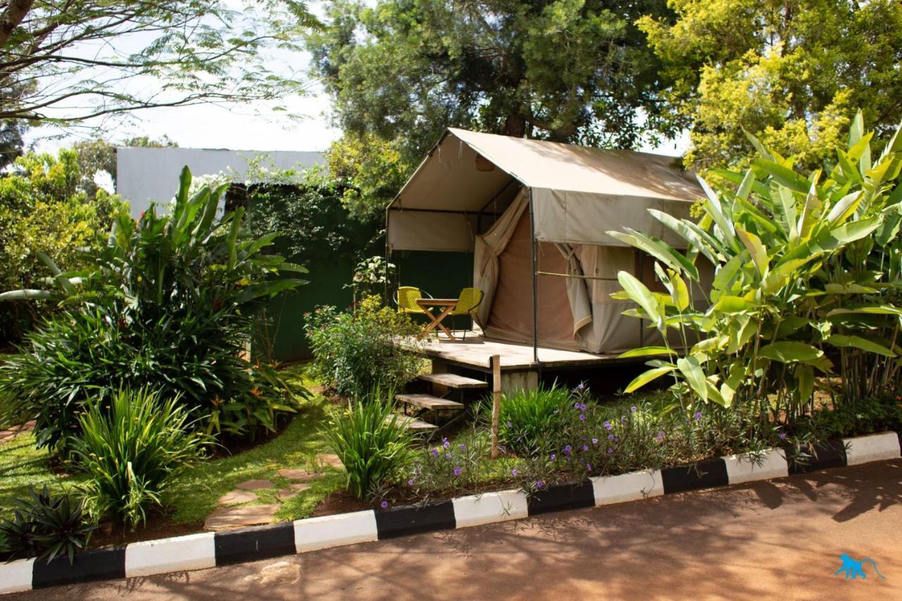 Bluemonkey Guesthouse Entebbe Zewnętrze zdjęcie