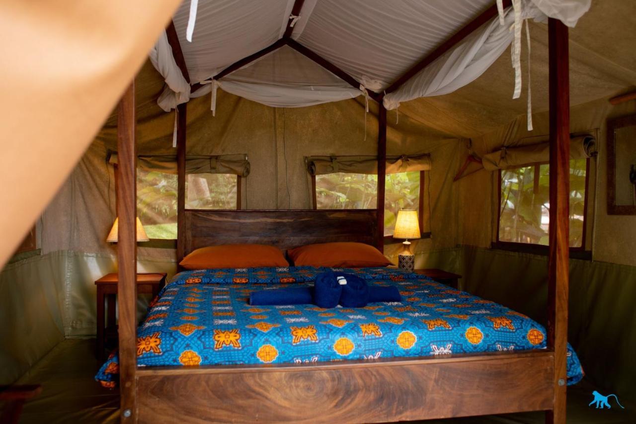 Bluemonkey Guesthouse Entebbe Zewnętrze zdjęcie