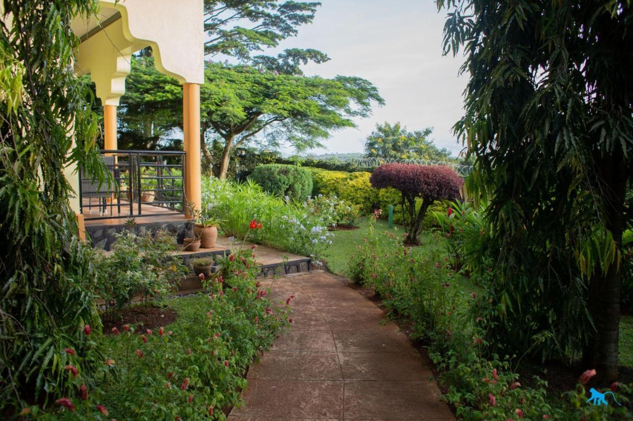 Bluemonkey Guesthouse Entebbe Zewnętrze zdjęcie