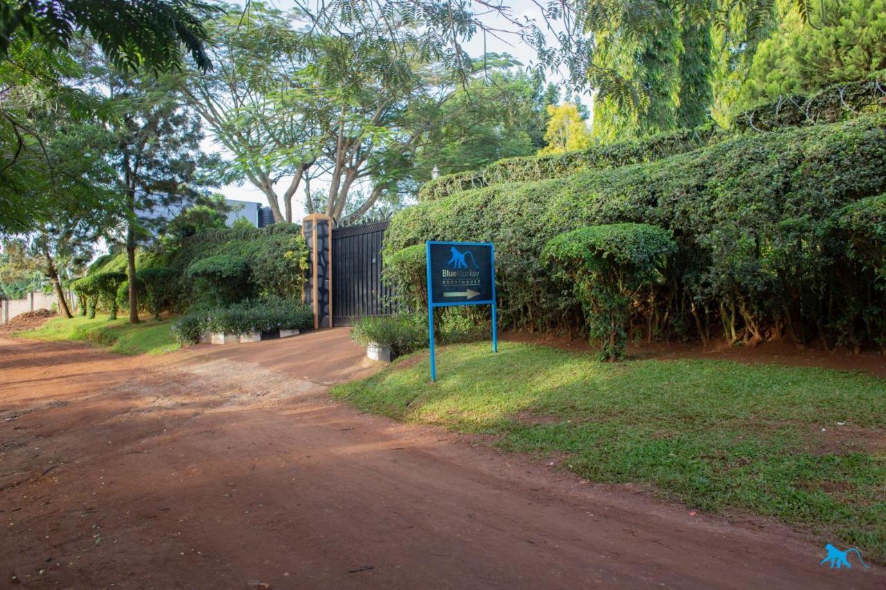 Bluemonkey Guesthouse Entebbe Zewnętrze zdjęcie